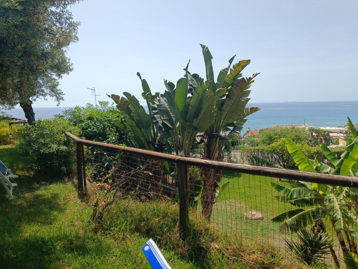 La Dea Del Mare Daire Forio di Ischia Dış mekan fotoğraf