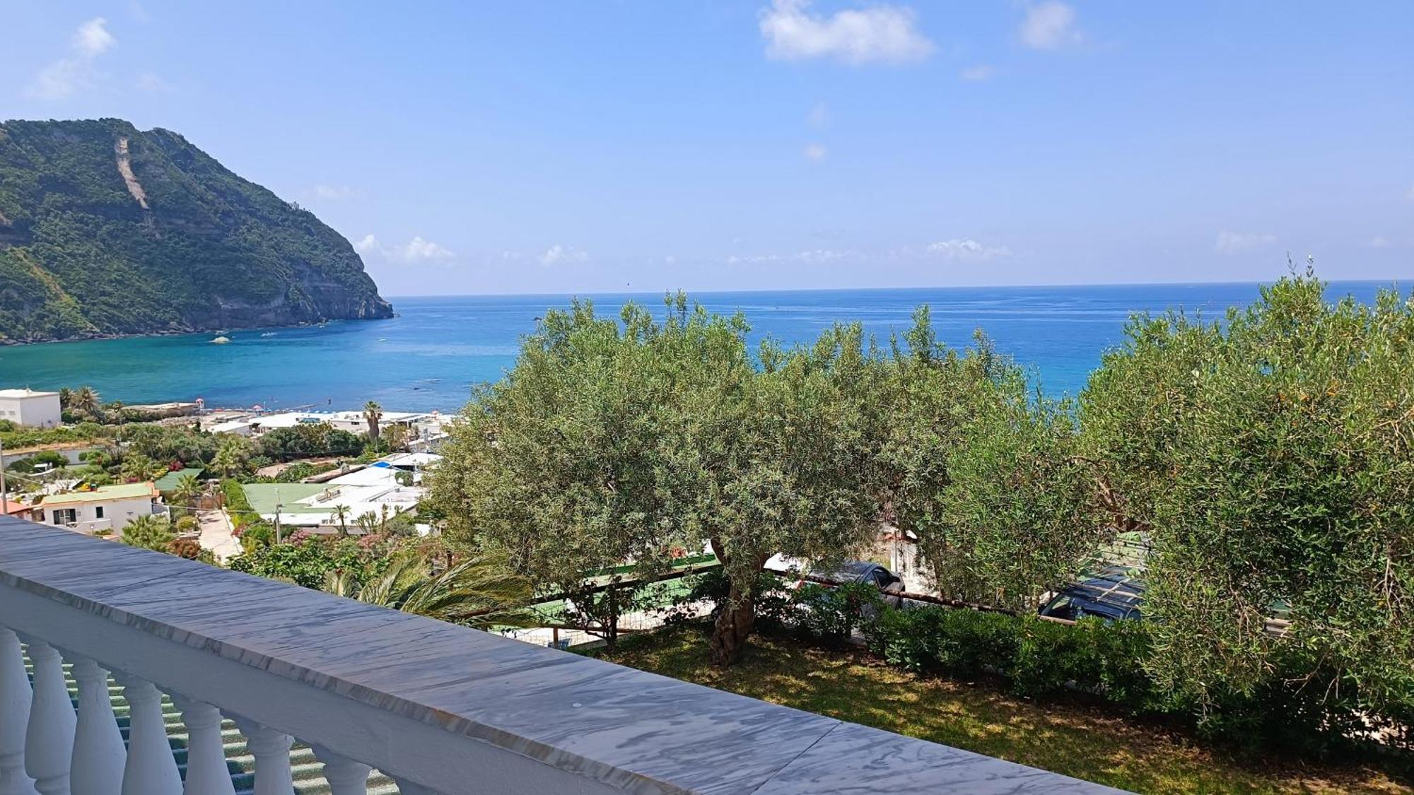 La Dea Del Mare Daire Forio di Ischia Dış mekan fotoğraf